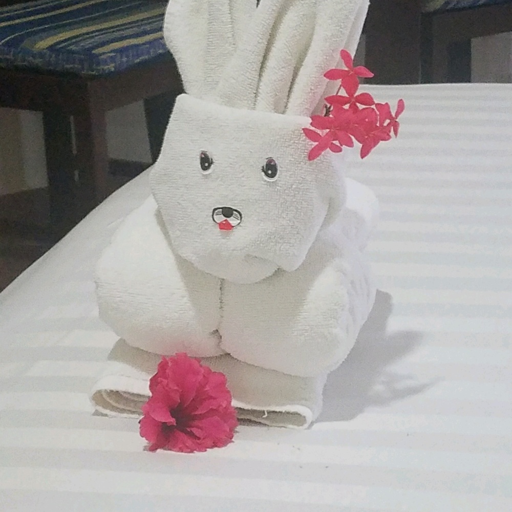 Meet your Posher, Kathy m